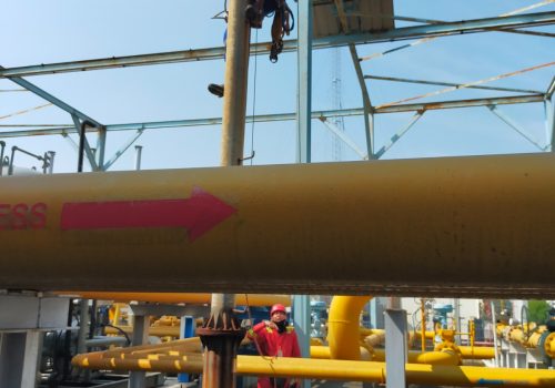 WhatsApp Image 2024-07-12 at 10.01.43 (6)